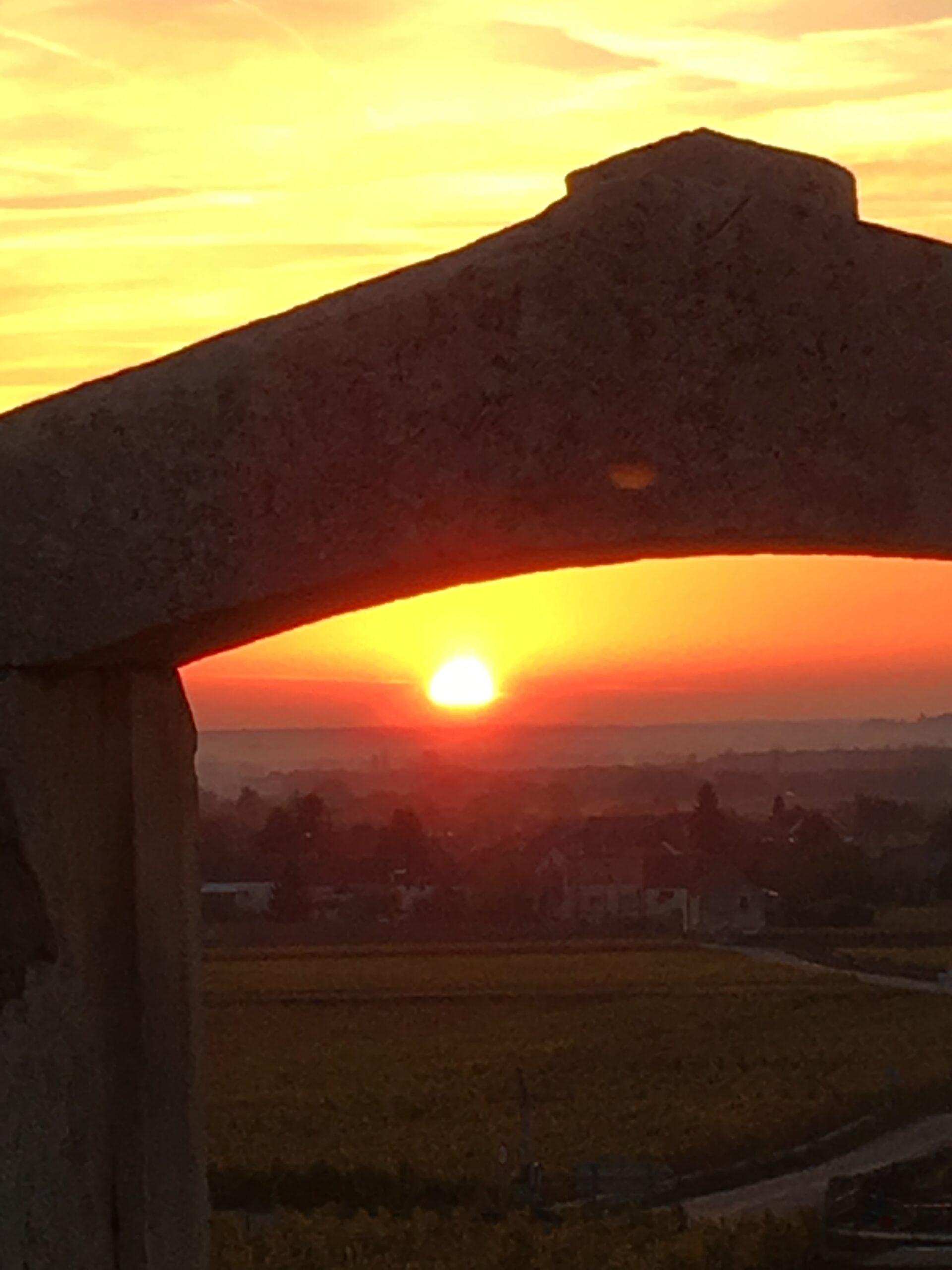 Domaine Chartron, notre actualité