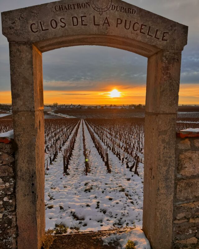 Chevalier Montrachet Grand Cru - Bourgogne Chartron Chevalier Montrachet Grand Cru - Bourgogne Chartron